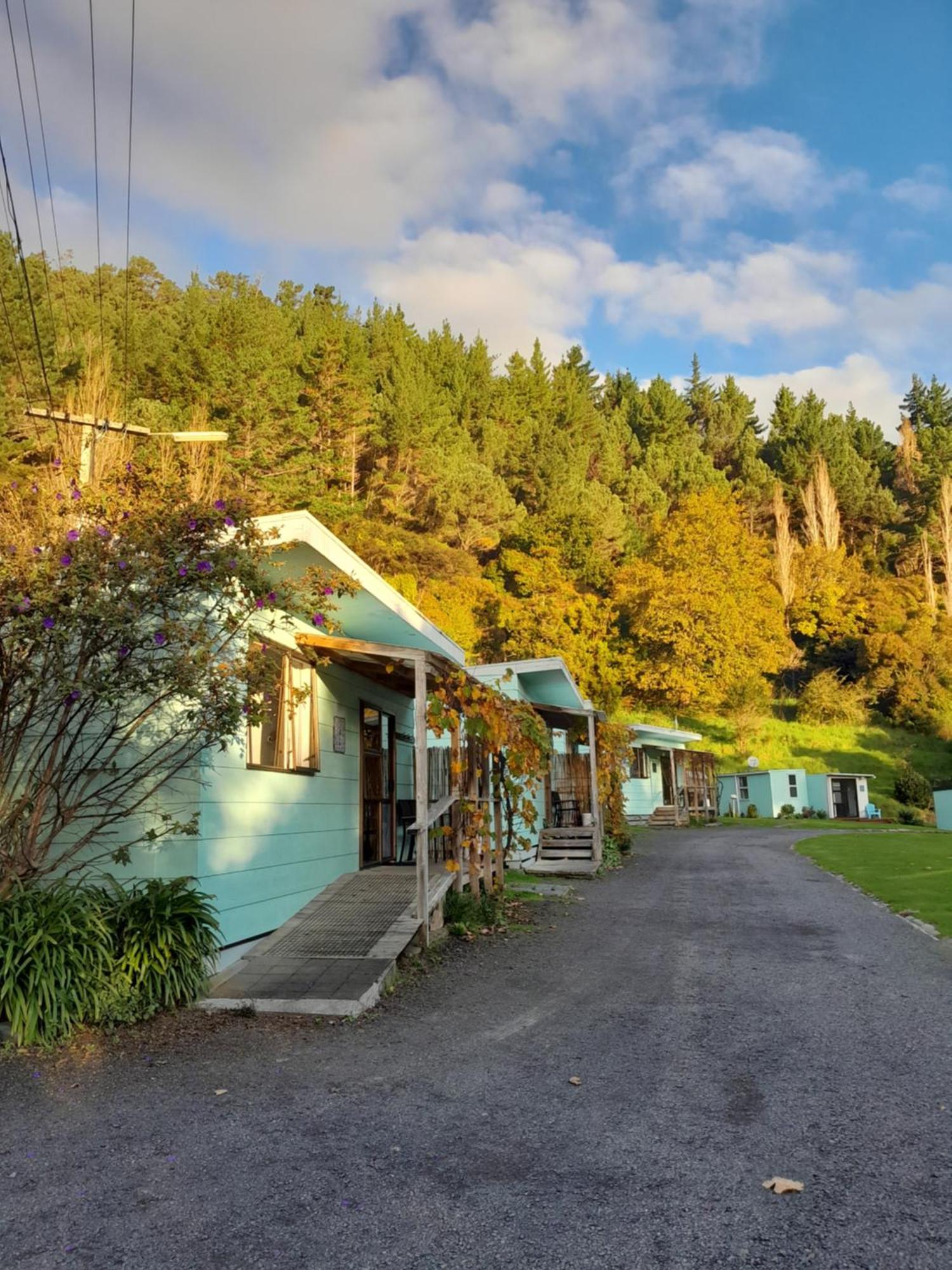 Dickson Holiday Park Thames Luaran gambar